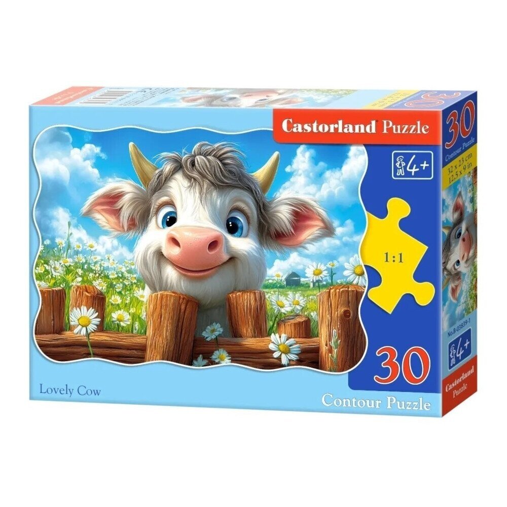 Dėlionė 30 dalių