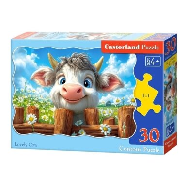 Dėlionė 30 dalių Dėlionė 30 dalių