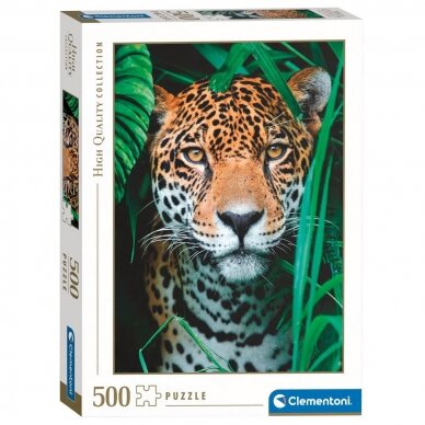Dėlionė 500 dalių Dėlionė 500 dalių