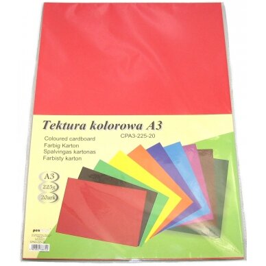 Kartonas tekstūrinis A3 Kartonas tekstūrinis A3
