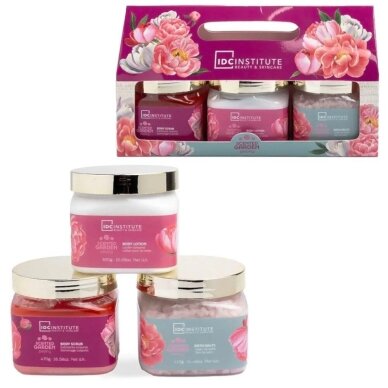 Rinkinys Rinkinys